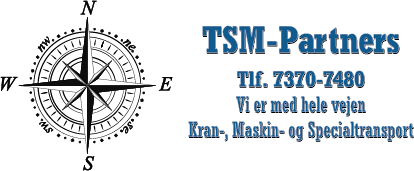 tsm-partners-logo